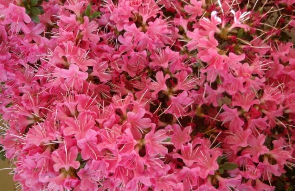 Fotoattēlam ilustratīva nozīme.
Autors: apollo.lv