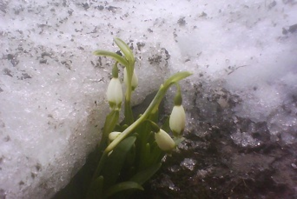 Fotoattēlam ilustratīva nozīme.
Autors: ceturtdiena.lv