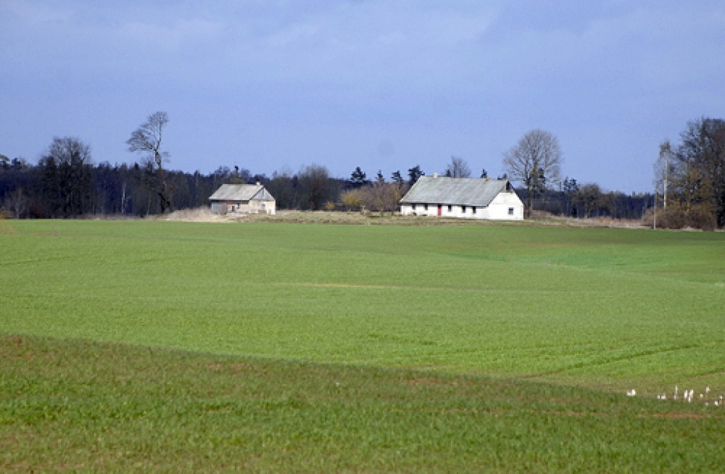 Saimniecībām, kas pretendē uz platību maksājumiem, ir jāievēro noteikti kritēriji.