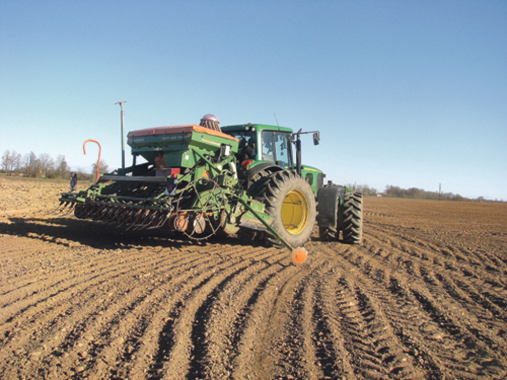 Graudaugu vasarāju sēja sākta sausākos laukos. 
