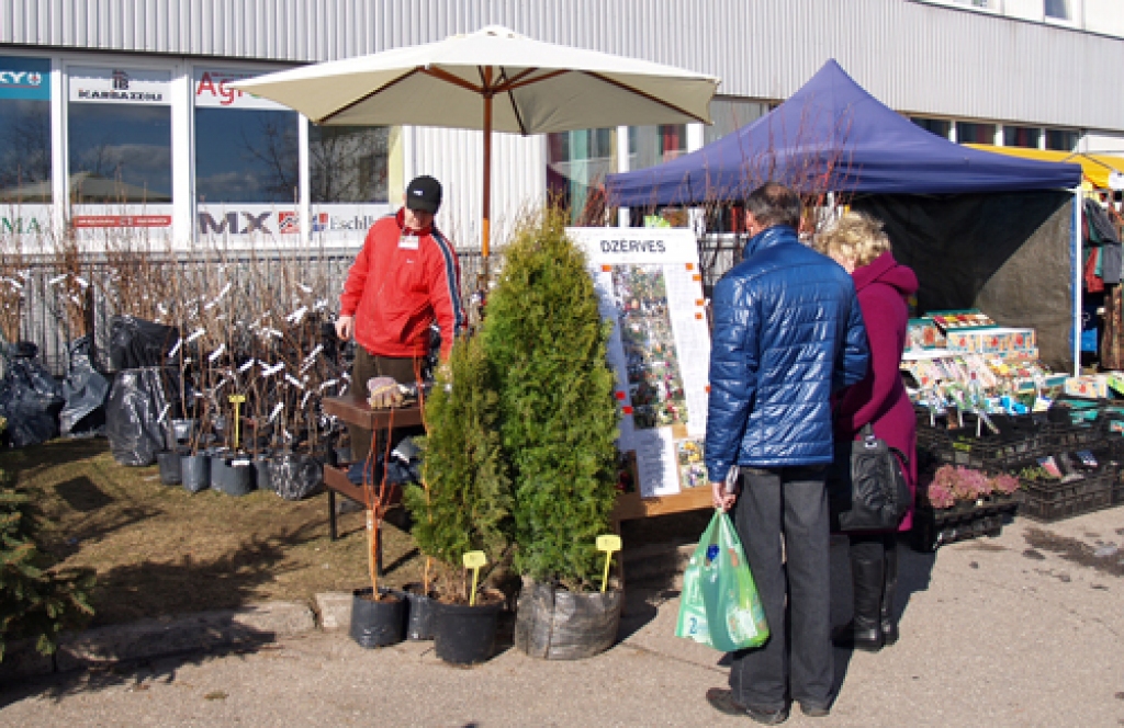 Māris Kaminskis, Valles pagasta bioloģiskās augļu un stādu audzētavas «Dzērves» saimnieks, pircējiem iesaka dārzam piemērotāko. 