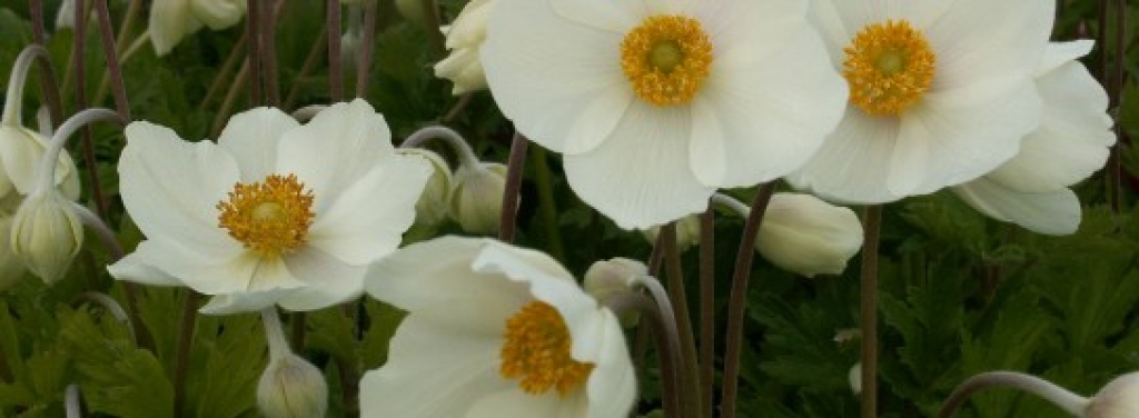 Fotoattēlam ilustratīva nozīme.