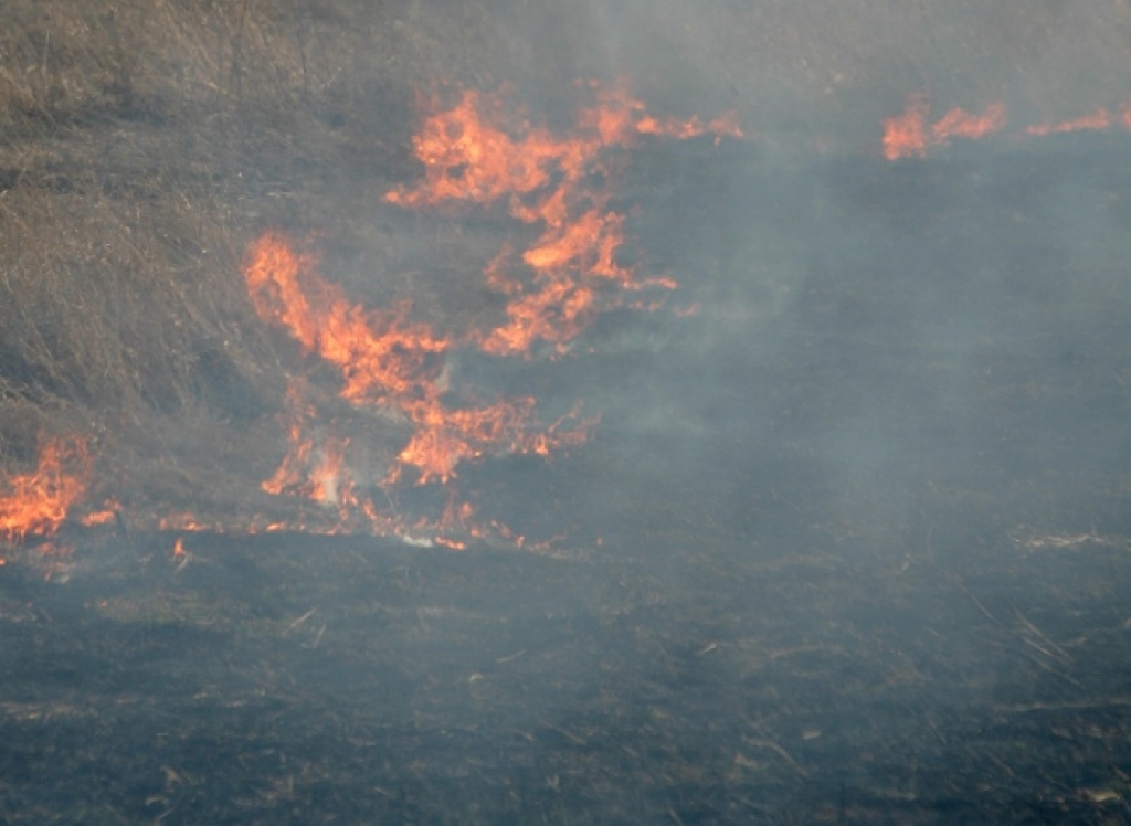 Fotoattēlam ilustratīva nozīme.
Autors: apollo.lv