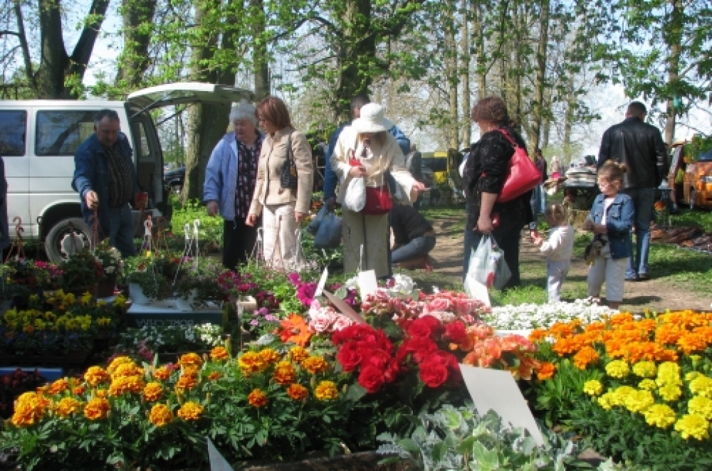 Autors: No «Bauskas Dzīves» arhīva.