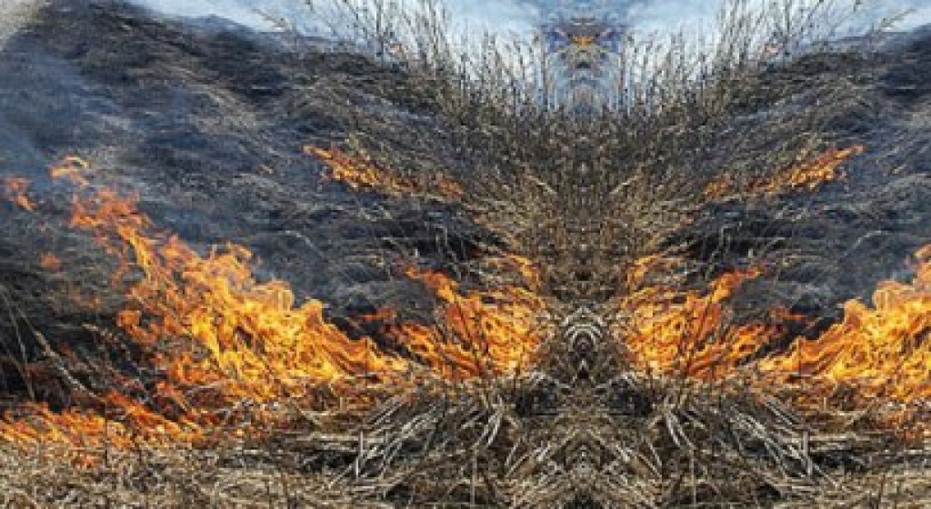 Fotoattēlam ilustratīva nozīme.