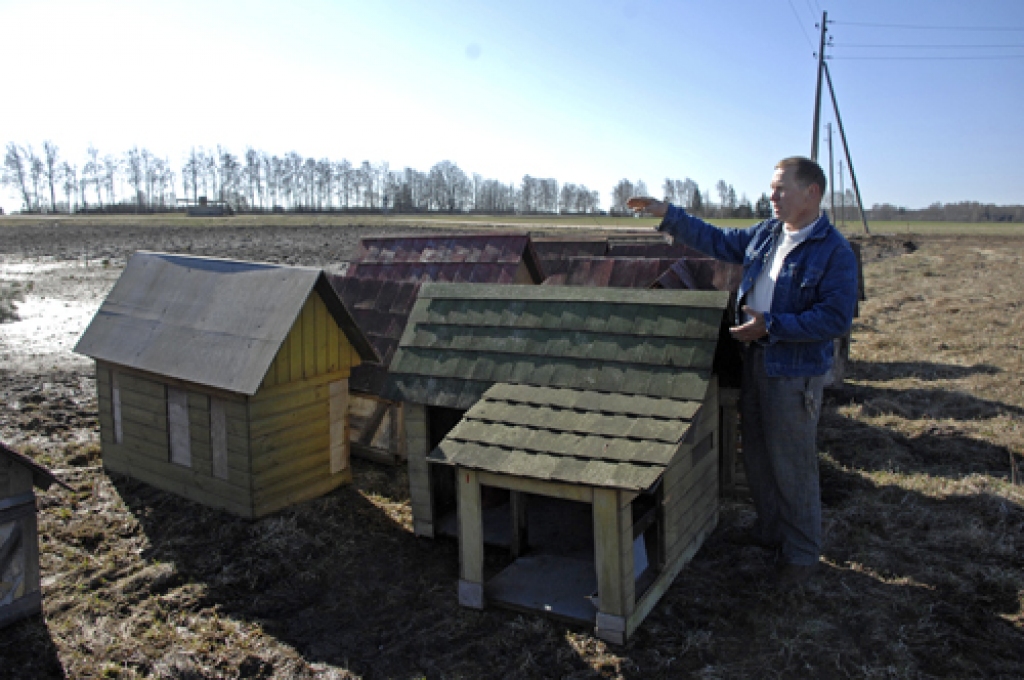 Trušu pilsētiņas saimnieks Ojārs Narvils pārliecināts, ka darāmais atradīsies ikvienam, kurš sestdien, 21. aprīlī, pēc pulksten 10 ieradīsies Codes pagastā, krustojumā uz ceļa A-7. 
Autors: Ivars Bogdanovs