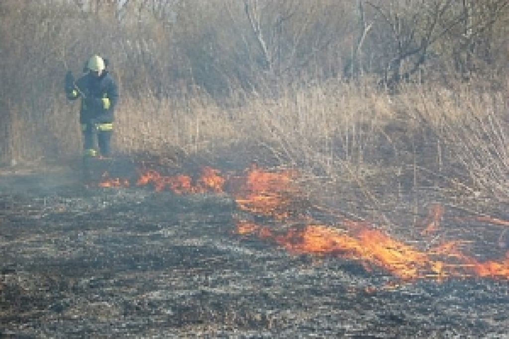 Fotoattēlam ilustratīva nozīme.
Autors: zz.lv