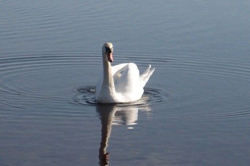 Fotoattēlam ilustratīva nozīme.
Autors: travelnews.lv