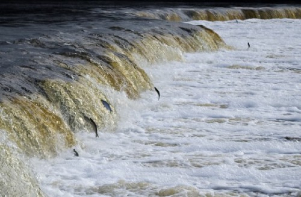 Autors: copeslietas.lv