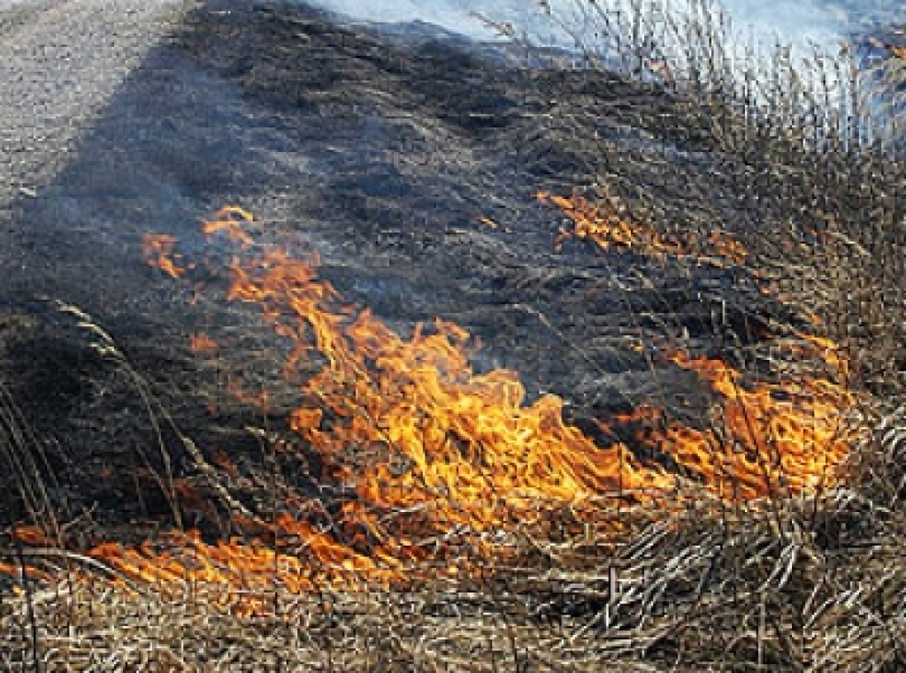 Fotoattēlam ilustratīva nozīme.