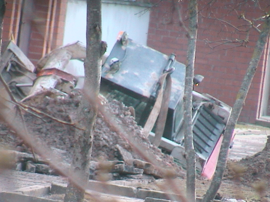 Autors: Aculiecinieka foto.