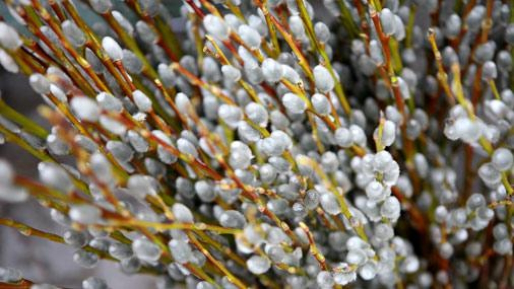 Autors: no www.spoki.lv