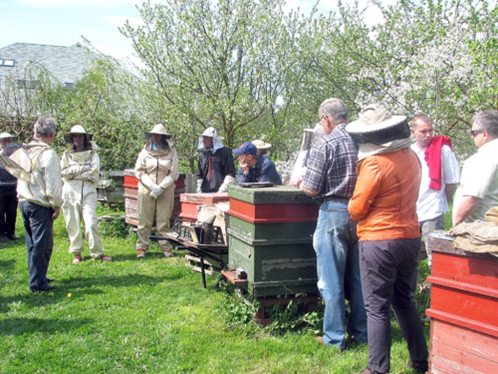Zemnieku saimniecības «Užiņi» dravā pulcējās ap  200 biškopju – iesācēju. 