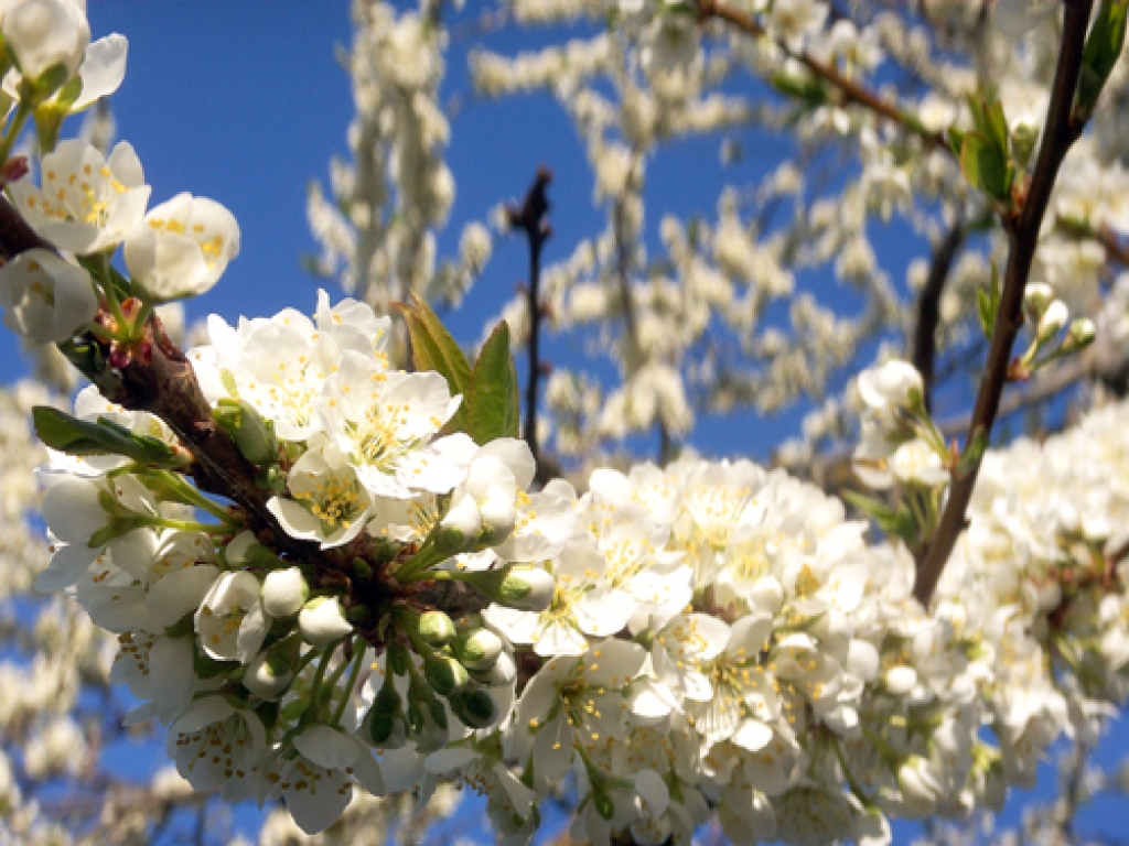 Foto – Oskars Rigasts