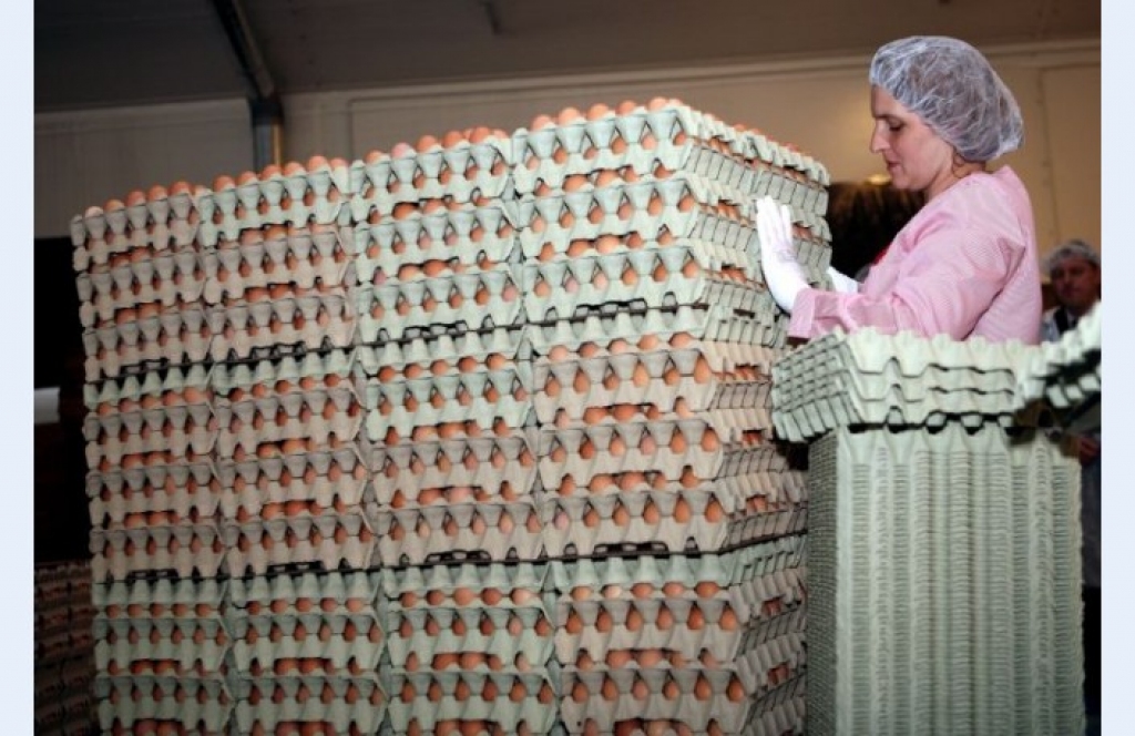 Fotoattēlam ilustratīva nozīme.
Autors: diena.lv