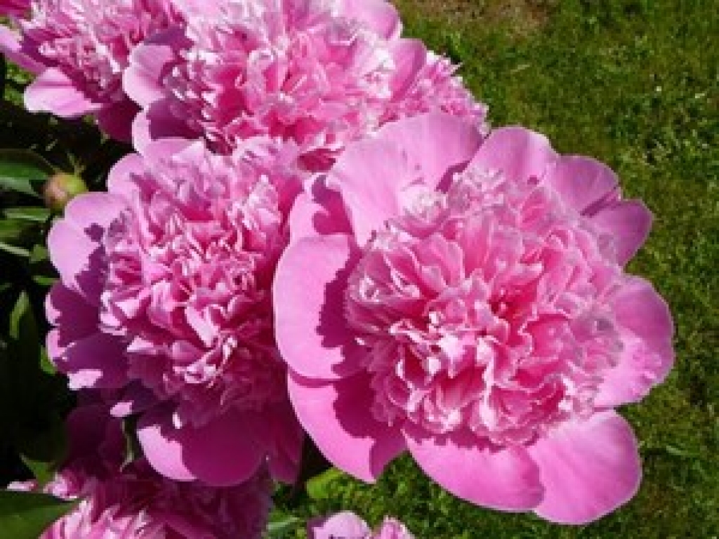 Fotoattēlam ilustratīva nozīme.
Autors: edruva.lv