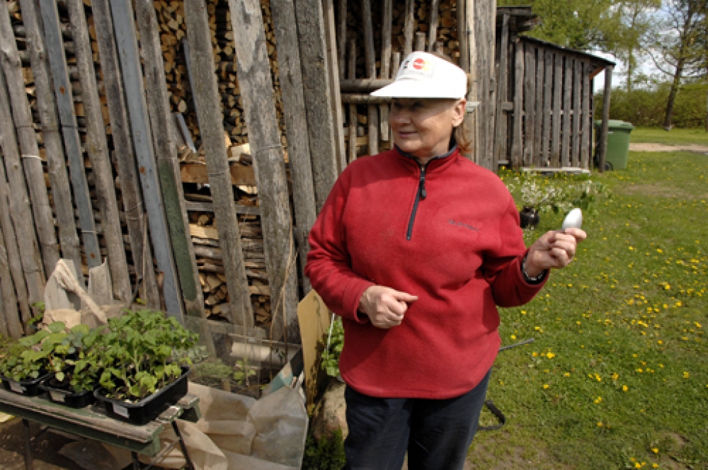 Skaidrīte Sporāne: «Tik vien kā «Bauskas Dzīvē» esmu jaunā pārvaldnieka bildi redzējusi. Gribētu jau viņu arī vaigā sastapt.»
Autors: Ivars Bogdanovs
