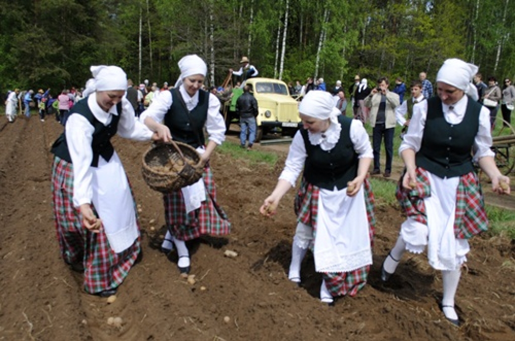 Sējas un stādīšanas darbu paraugdemonstrējumos iesaistījās gan jauni, gan veci.   
Autors: Juris Iļņickis