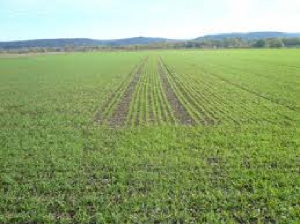 Fotoattēlam ilustratīva nozīme.