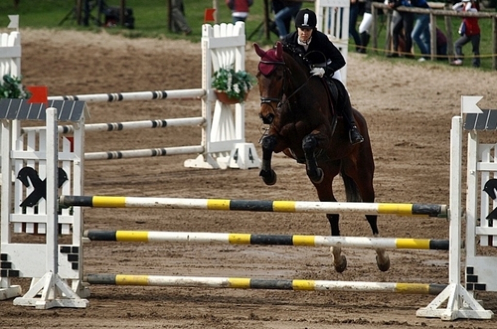 Velga Marčenkova startē ar zirgu Dakāra. 
Autors: Uldis Varnevičs