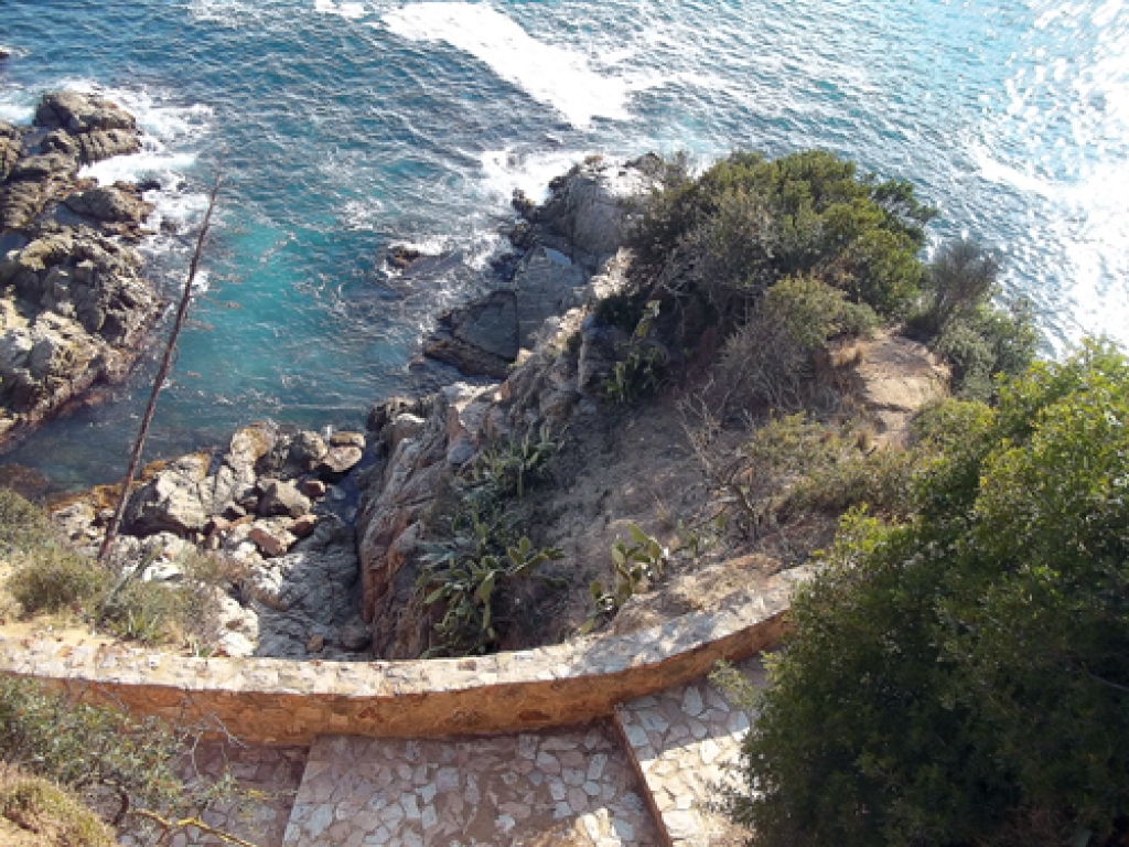 Vidusjūras piekraste atšķiras no mūsu lēzenajiem liedagiem. 