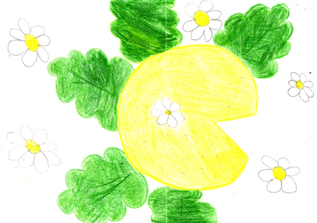 Annijas Paulovičas zīmējums.