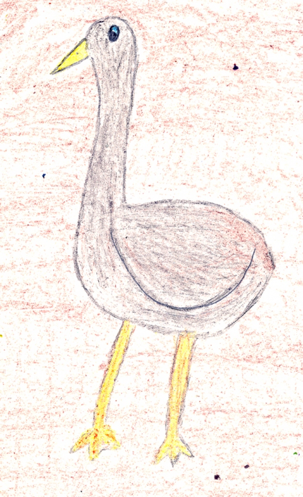 ANNIJAS PAULOVIČAS zīmējums.