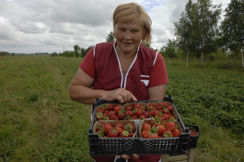 Rundāliete Anna Truntika ir pārliecināta, ka Latvijas zemenes ir visgaršīgākās.
Autors: Ivars Bogdanovs