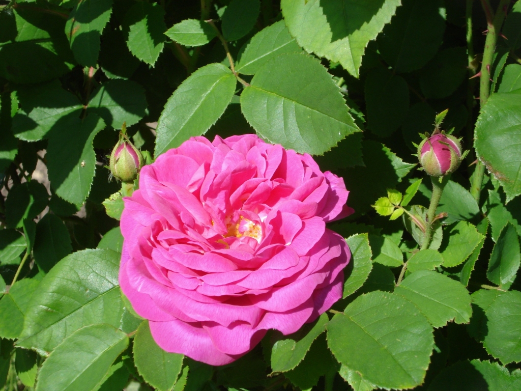 Autors: Publicitātes foto.