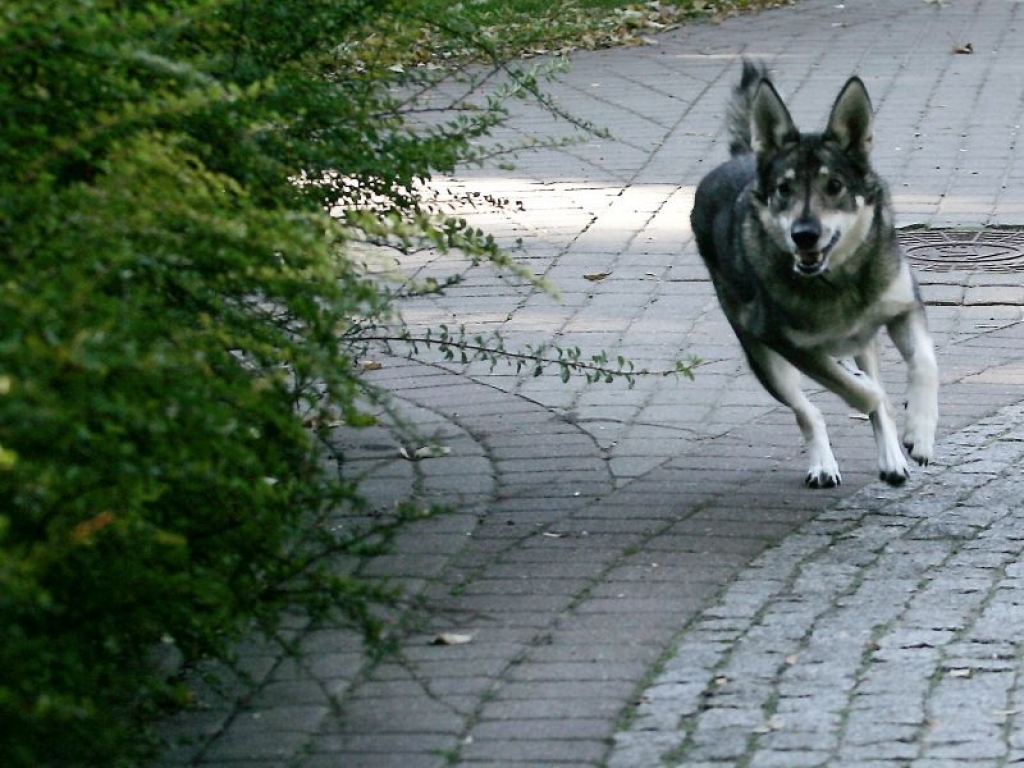 Fotoattēlam ilustratīva nozīme.
Autors: pilseta24.lv