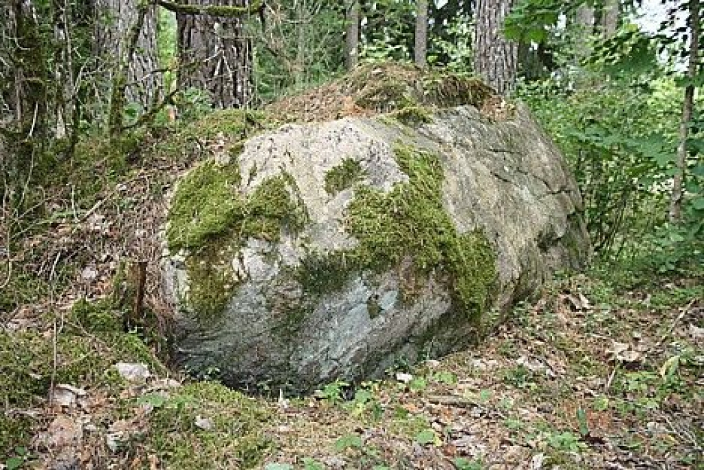 Autors: Zemgales Plānošanas reģions