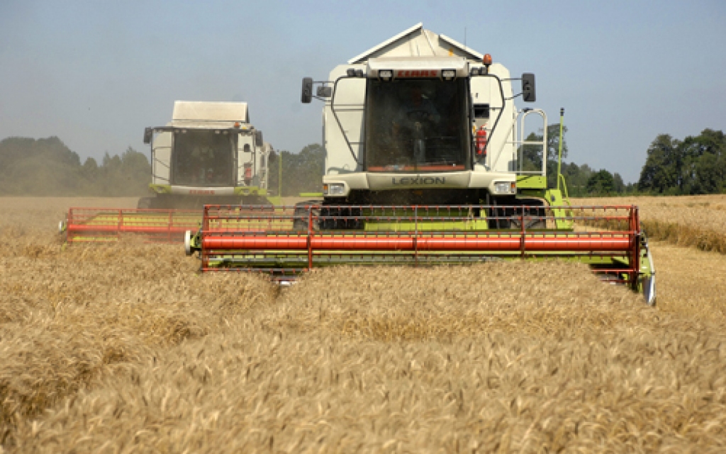 Šonedēļ labības laukos sāk kult ziemas kviešus un rapsi, šie darbi rit arī Bauskas novada SIA «Ceraukstīte».
Autors: Ivars Bogdanovs