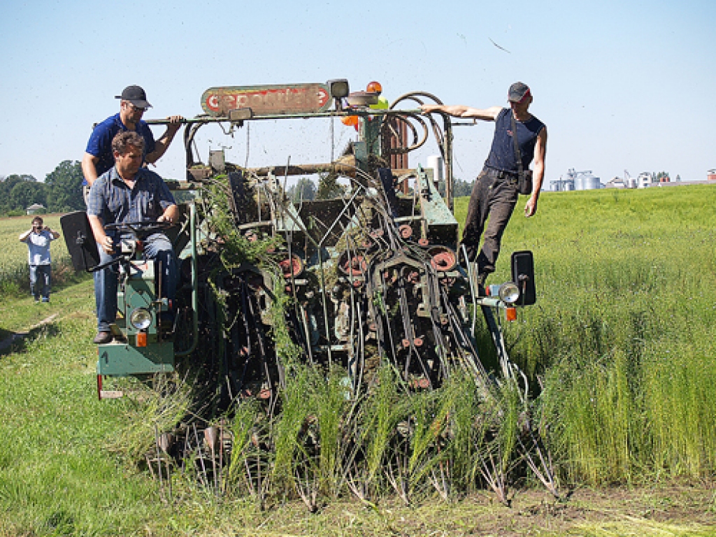 Linu plūkšanas procesu aizrautīgi vēroja gan lauku dienas apmeklētāji, gan paši audzētāji.
Autors: Antra Ērgle