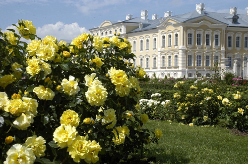 Pēterburgā būs skatāmas Rundāles rozes, ko fotogrāfijās iemūžinājis  Andris Zēgners. 
Autors: no «Bauskas Dzīves» arhīva.