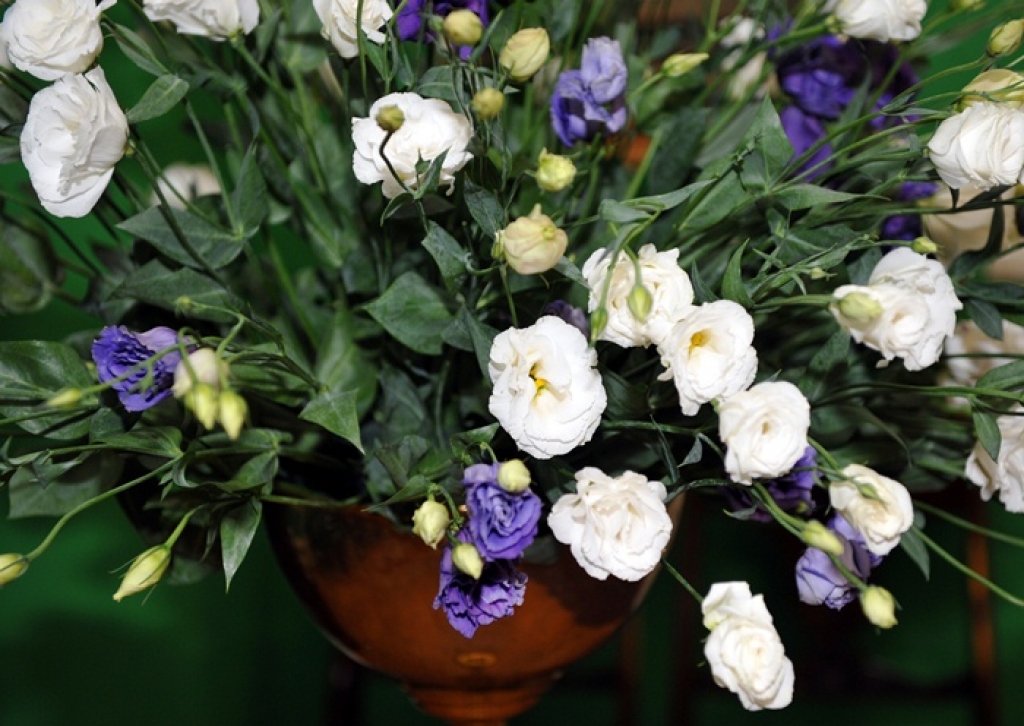 Fotoattēlam ilustratīva nozīme.
Autors: apollo.lv