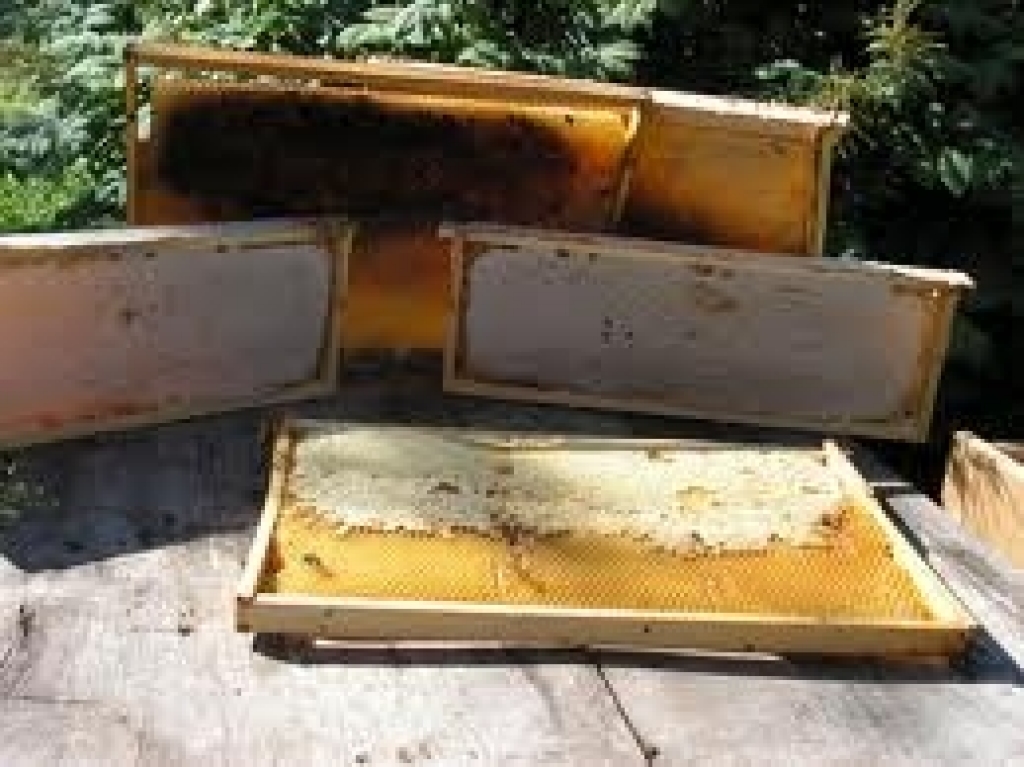 Autors: No «Bauskas Dzīves» arhīva.