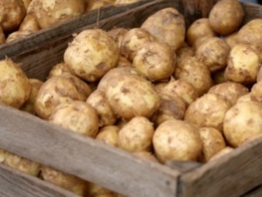 Fotoattēlam ilustratīva nozīme.
Autors: apollo.lv