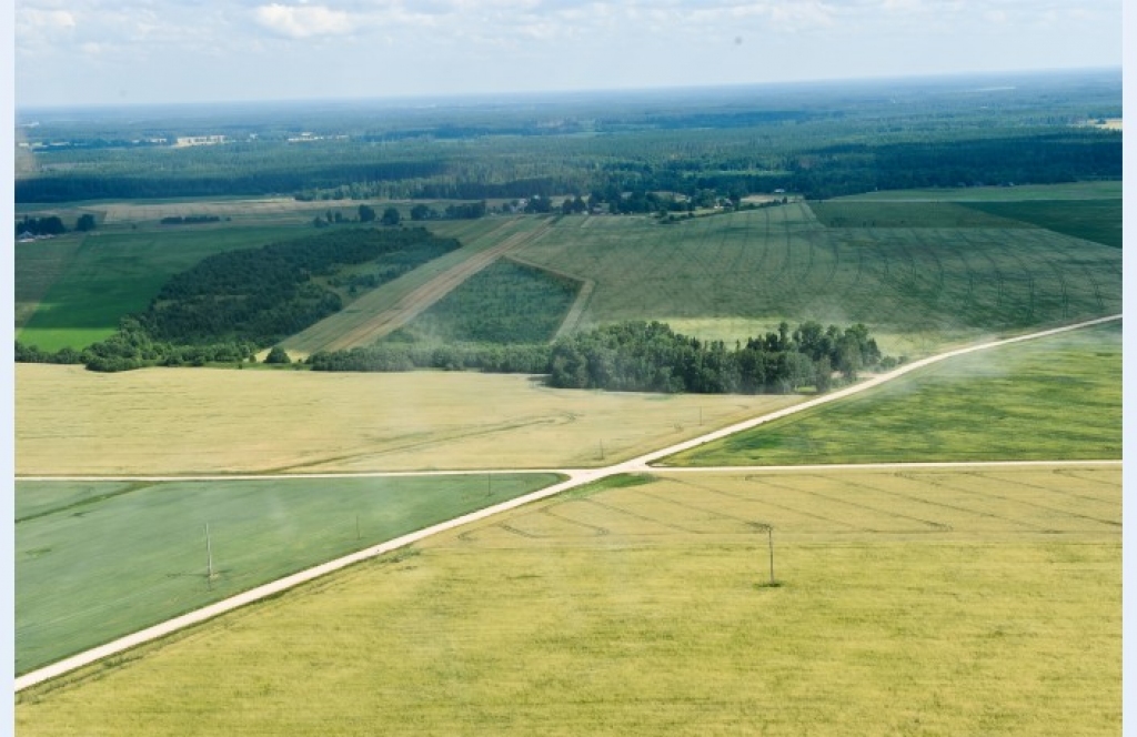 Fotoattēlam ilustratīva nozīme.
Autors: diena.lv