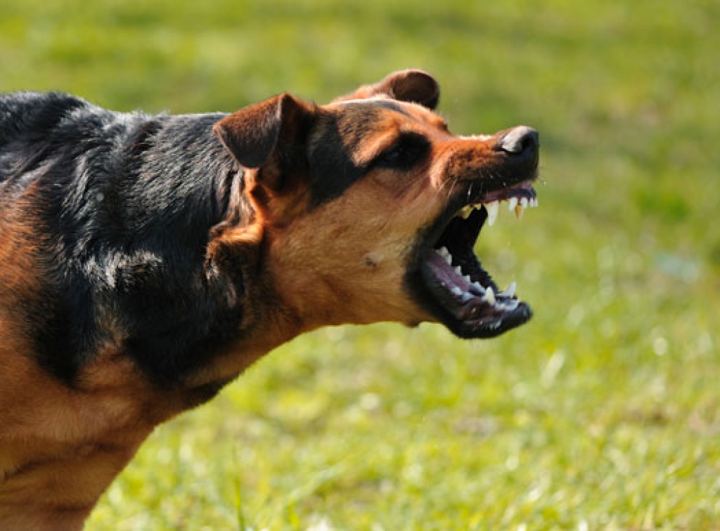 Fotoattēlam ilustratīva nozīme.
Autors: kasjauns.lv