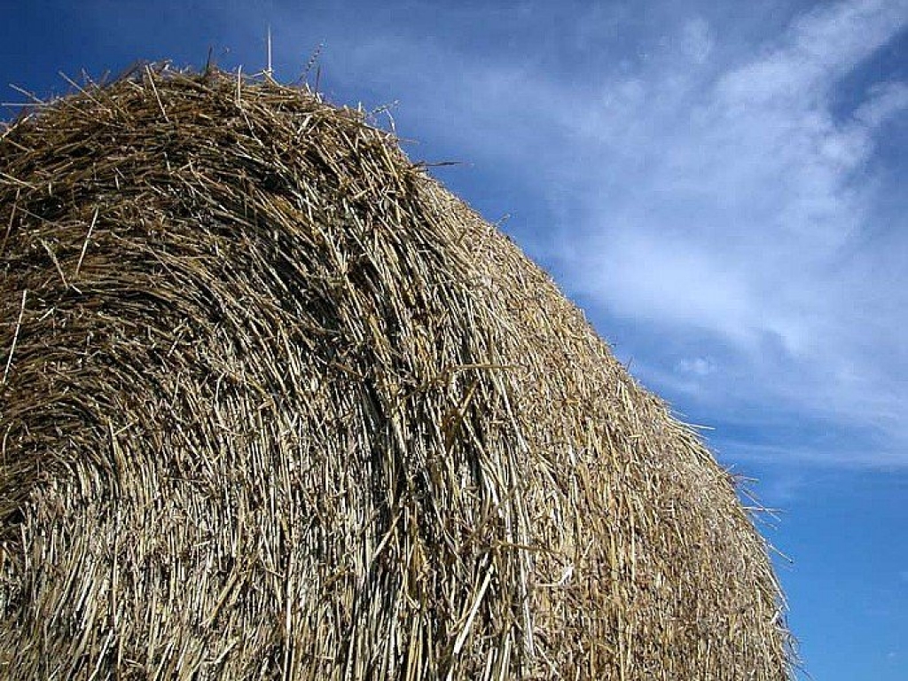 Fotoattēlam ilustratīva nozīme.
Autors: apollo.lv