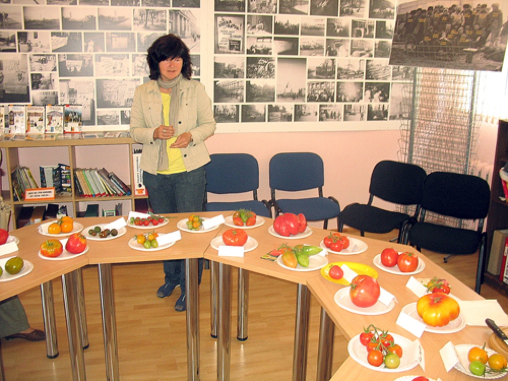 Guna Urlovska izstādē Valles pagasta bibliotēkā eksponē 45 tomātu šķirnes.