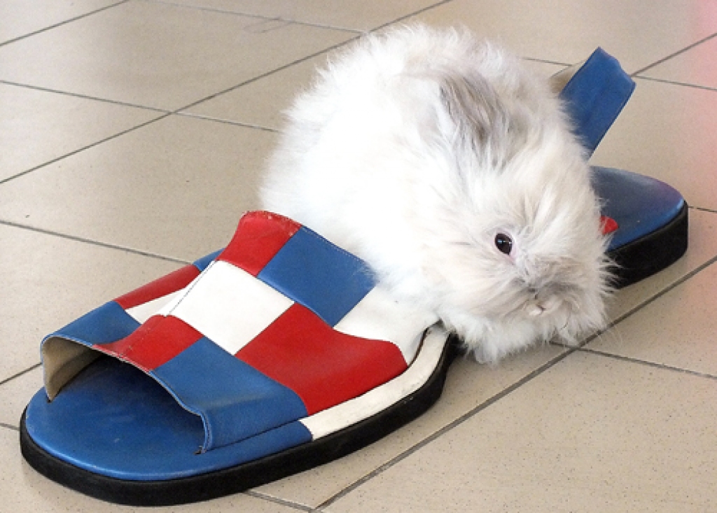 Pundurtrusim Pelēcim preču košļāšana nenāk ne prātā.