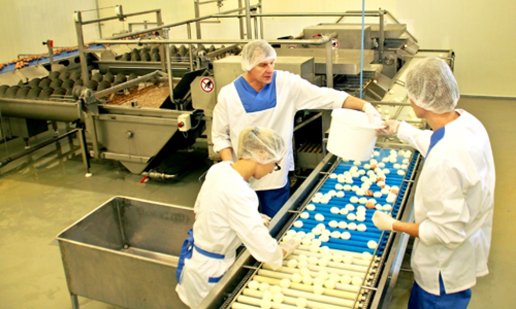 Olu dzesēšanas un lobīšanas līnija, tāpat kā pārējie produkta sagatavošanas posmi, ar laiku būs pilnībā automatizēti.