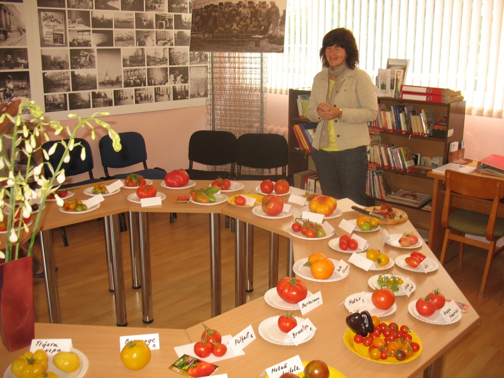 Guna Urlovska izstādē Valles pagasta bibliotēkā eksponē tomātu 45 šķirnes.
Autors: Māris Krūmiņš