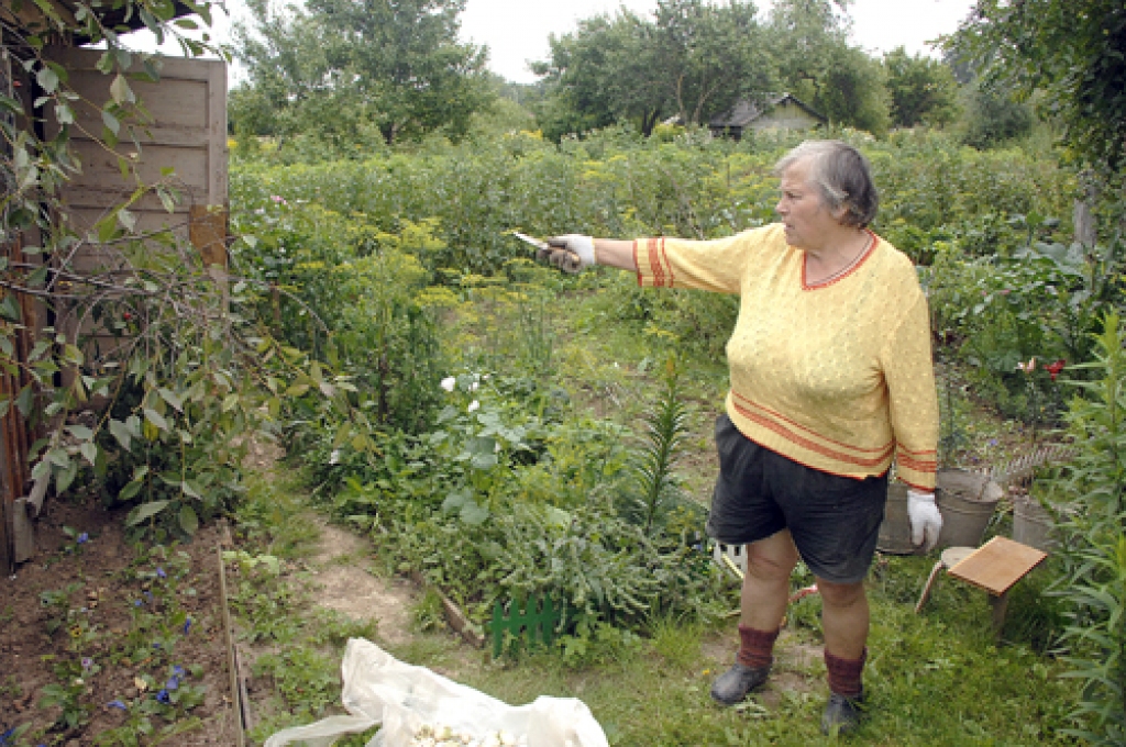 Valentīna Lavrenoviča norāda dobes, kurās nesen sirojuši garnadži. 