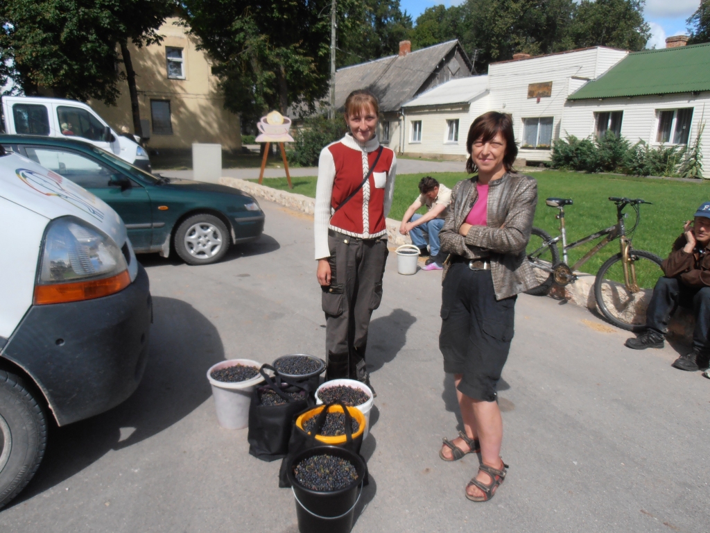 Autors: Inga Muižniece