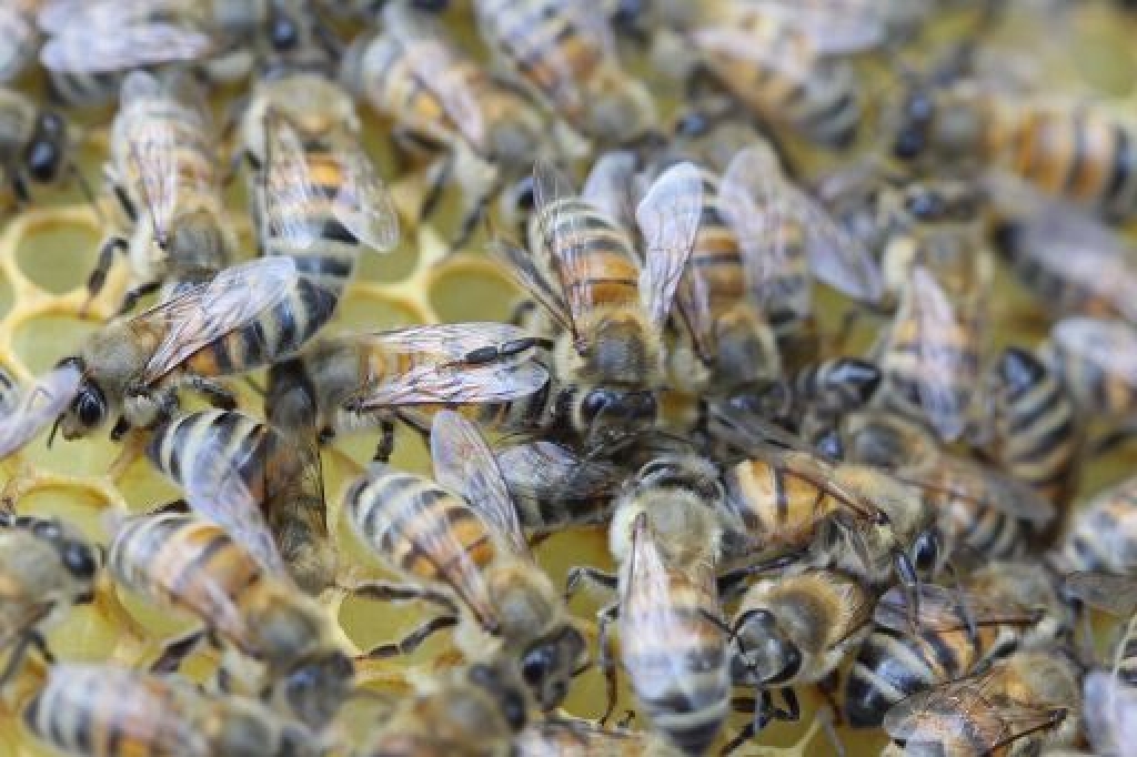 Fotoattēlam ilustratīva nozīme.