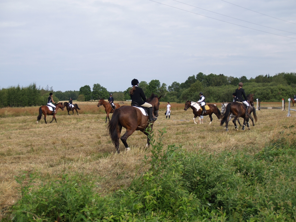 Sacensībās piedalījās jātnieki no teju 20 sporta klubiem un skolām.
Autors: Antra Ērgle