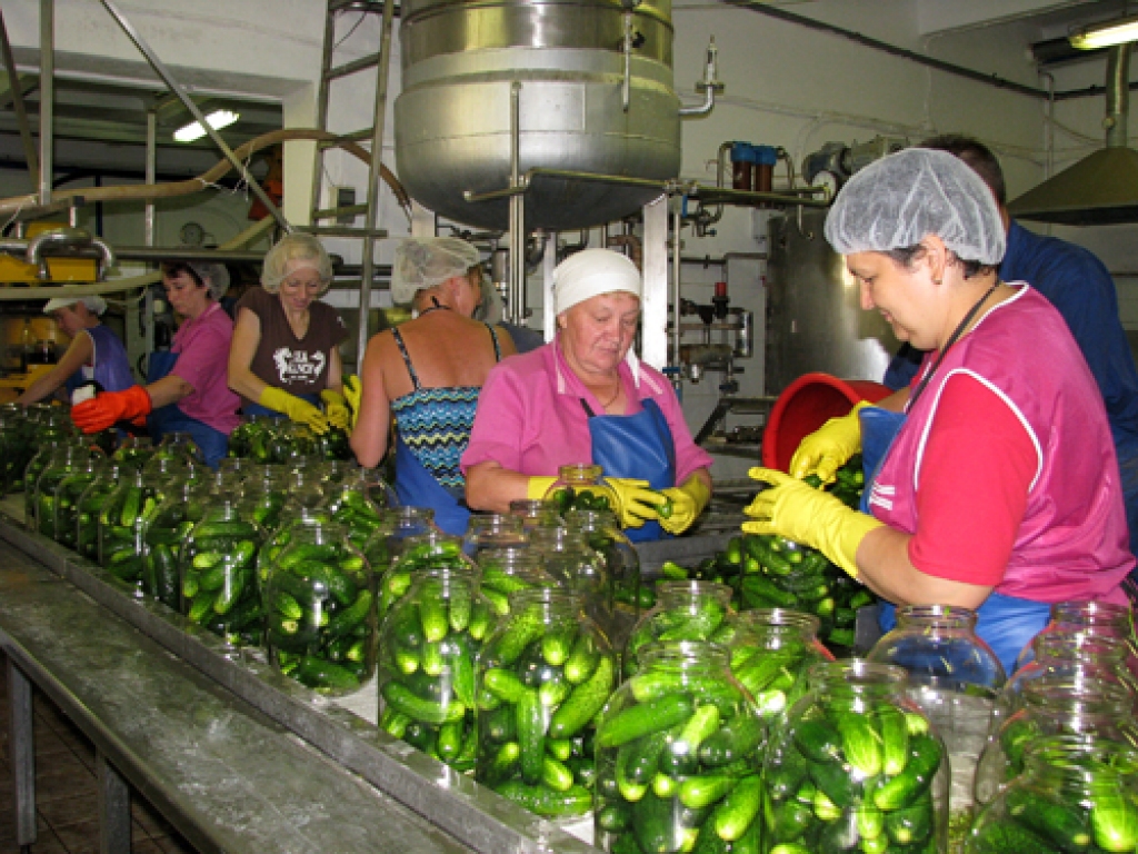 SIA «Kronis» pašlaik notiek intensīva gurķu marinēšana. Lai paveiktu iecerētos apjomus, uzņēmums līdztekus pastāvīgajiem speciālistiem darbā pieņēmis sezonas strādniekus.
Autors: Vilnis Auzāns