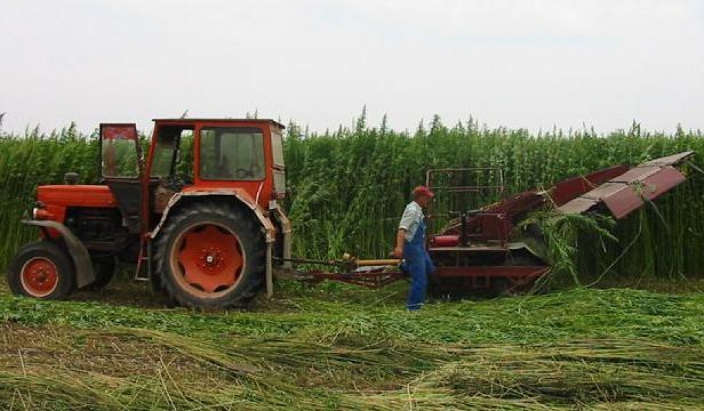 Fotoattēlam ilustratīva nozīme.